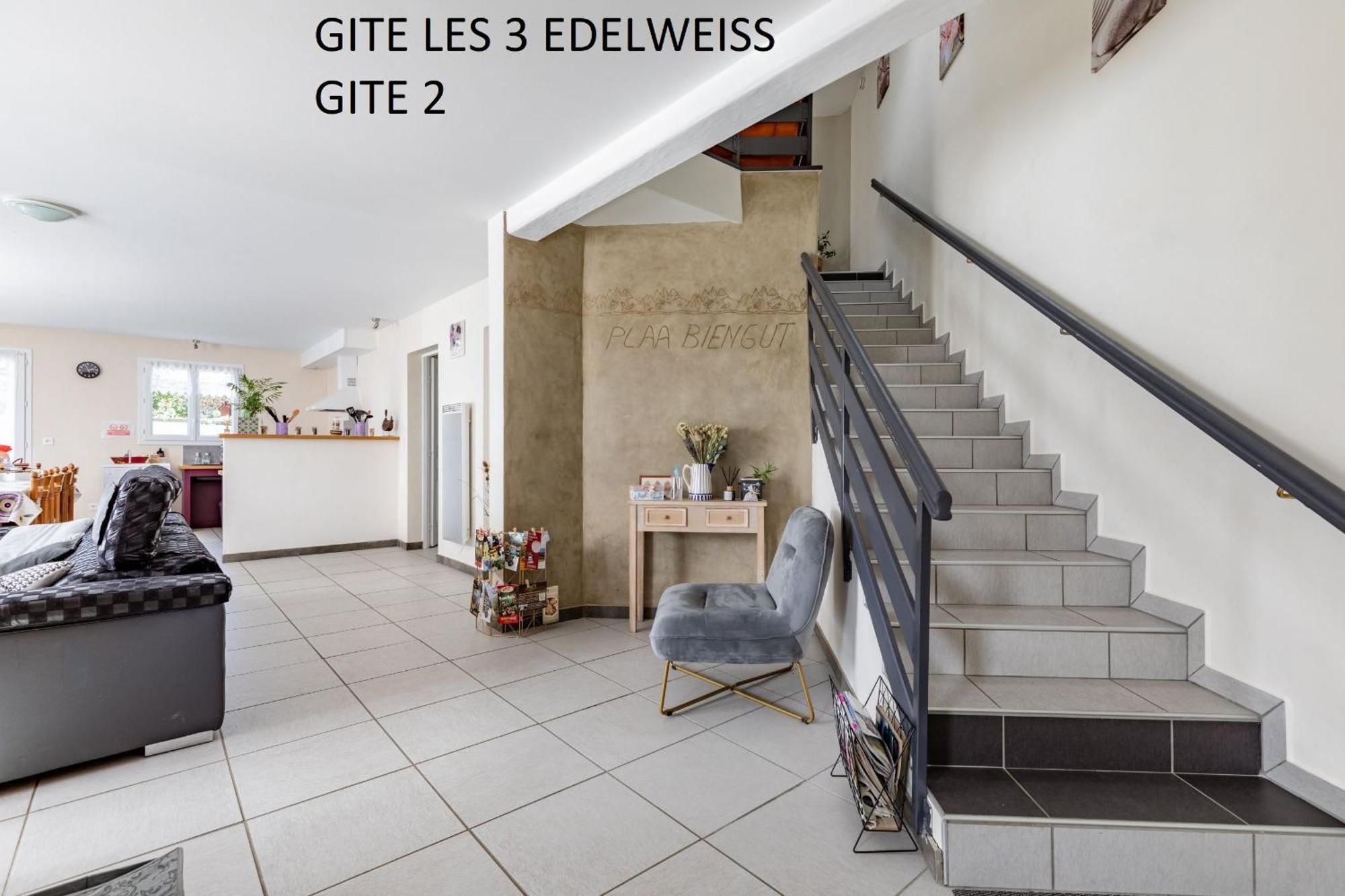 Les 3 Edelweiss - Gite 1 Ou Gite 2 Arette Luaran gambar